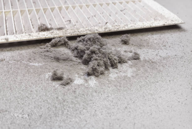 Best Affordable Duct Cleaning Services  in Porcupine, SD